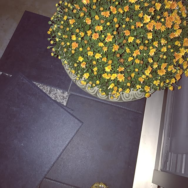 emmyyさんの部屋