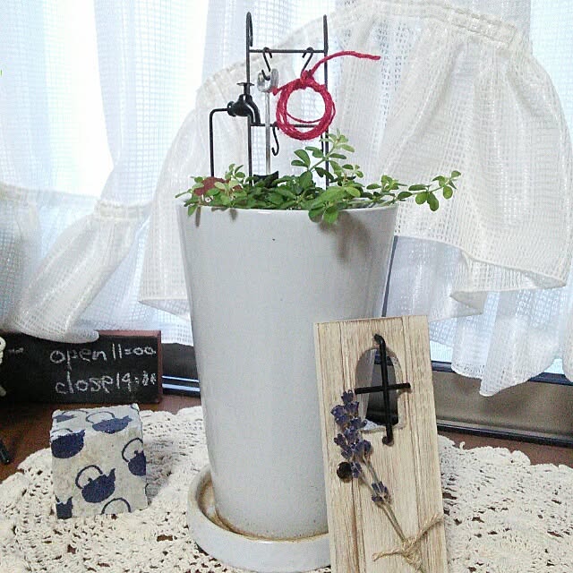 satokotokoさんの実例写真