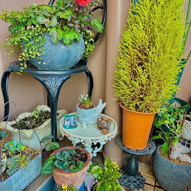 naokoさんの部屋