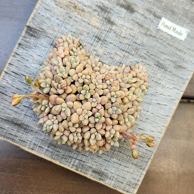 amtさんの実例写真