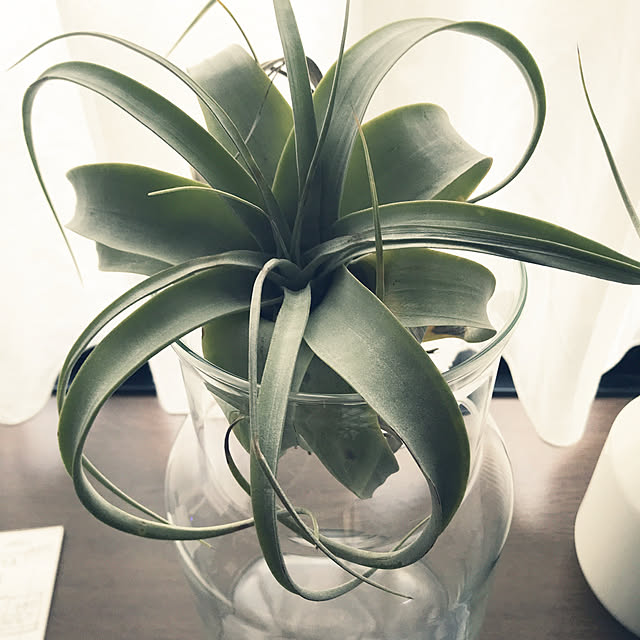 Kankanさんの実例写真