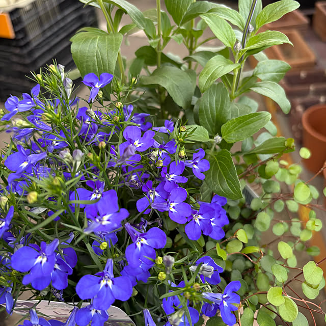 Yukicotoさんの部屋