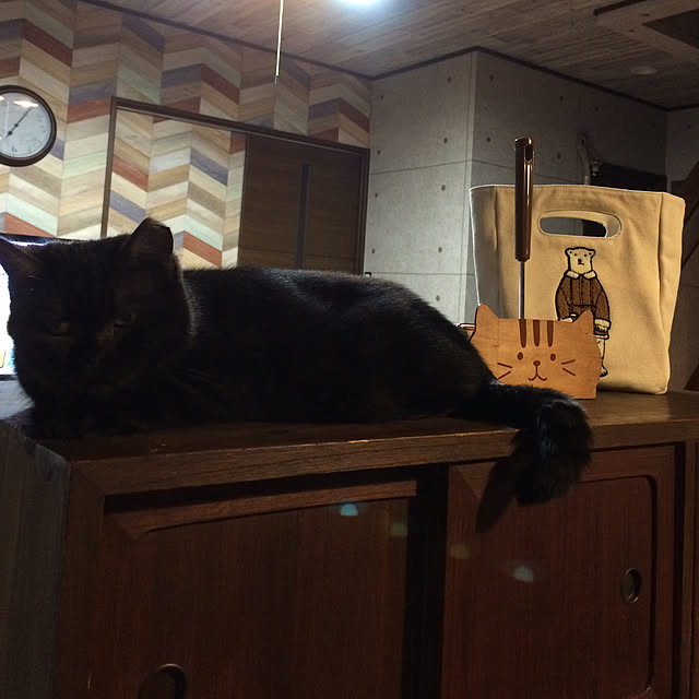 annさんの実例写真