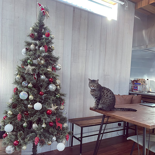 Azさんの実例写真