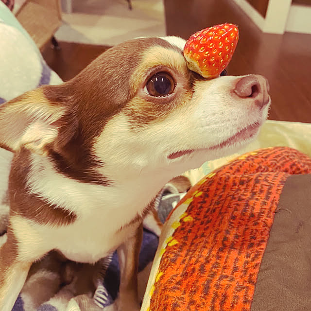 maroさんの実例写真