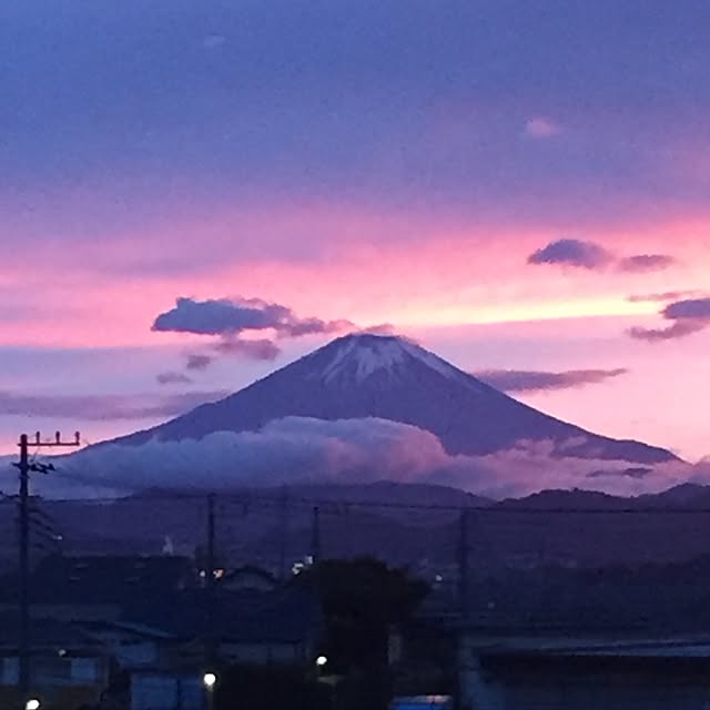 実例写真