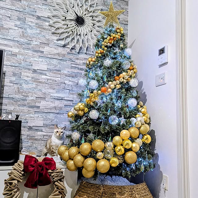 kohakuさんの実例写真