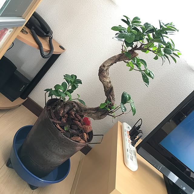 dokupin117さんの実例写真
