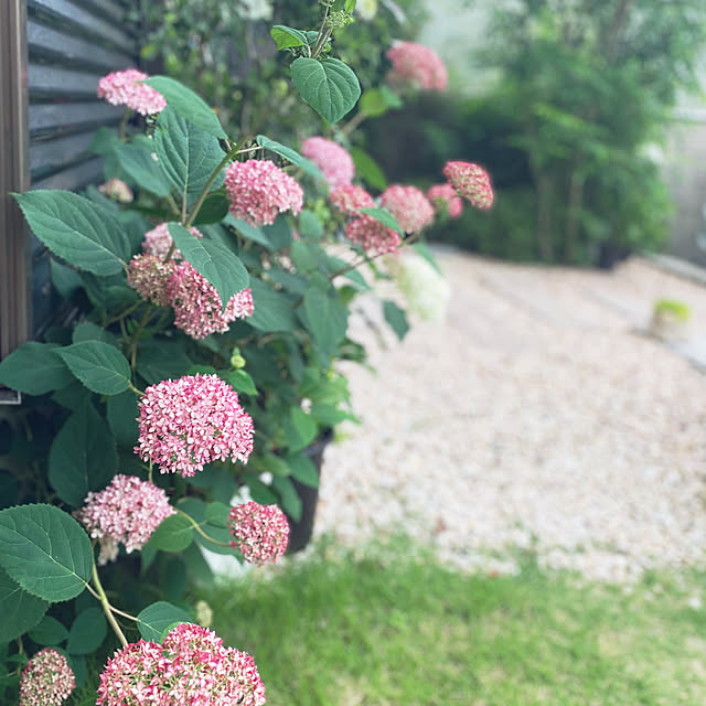 r.k.m.n_n.3.4.5さんの実例写真