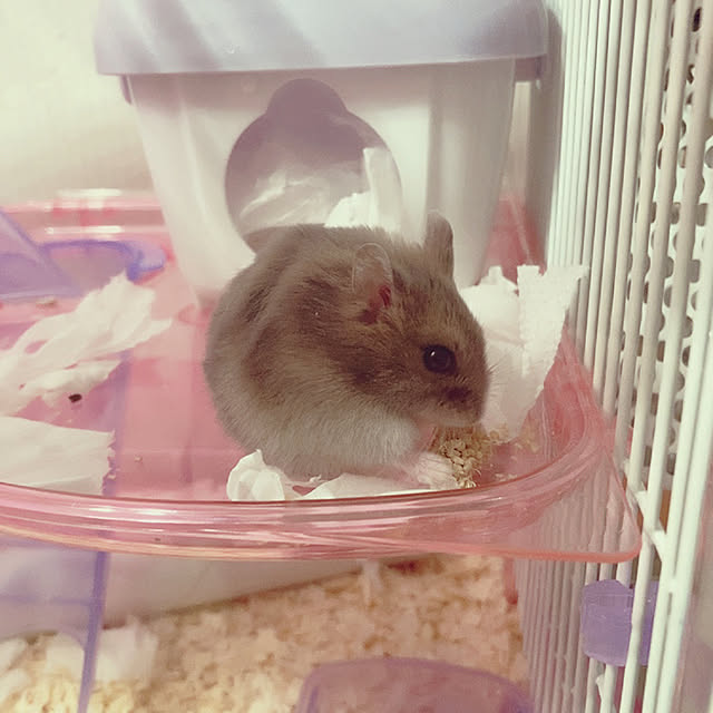 milkさんの実例写真