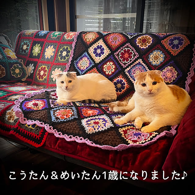 marusanさんの実例写真