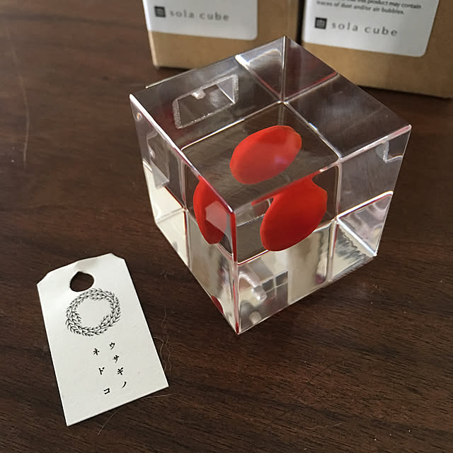tokotokoさんの実例写真