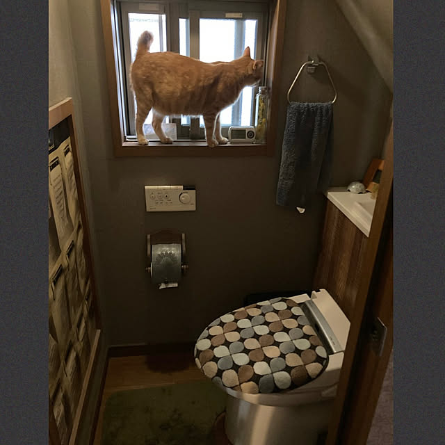 ayuさんの実例写真