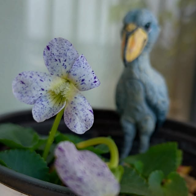 NOAHさんの実例写真
