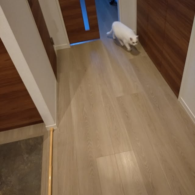 NOAHさんの実例写真