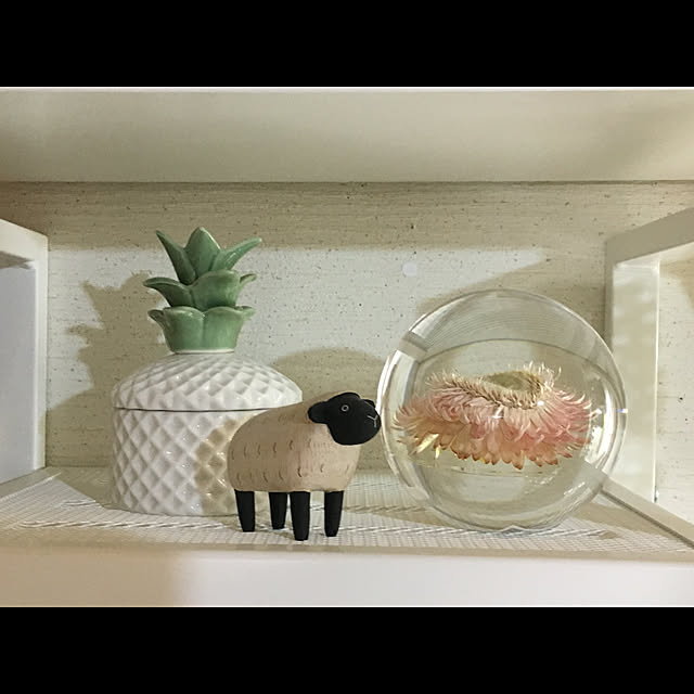 akam6さんの実例写真