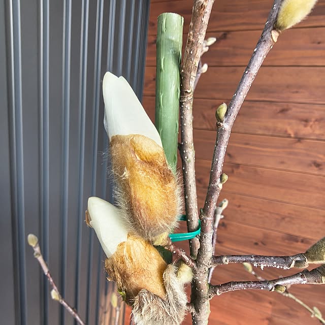 Rubiconさんの部屋