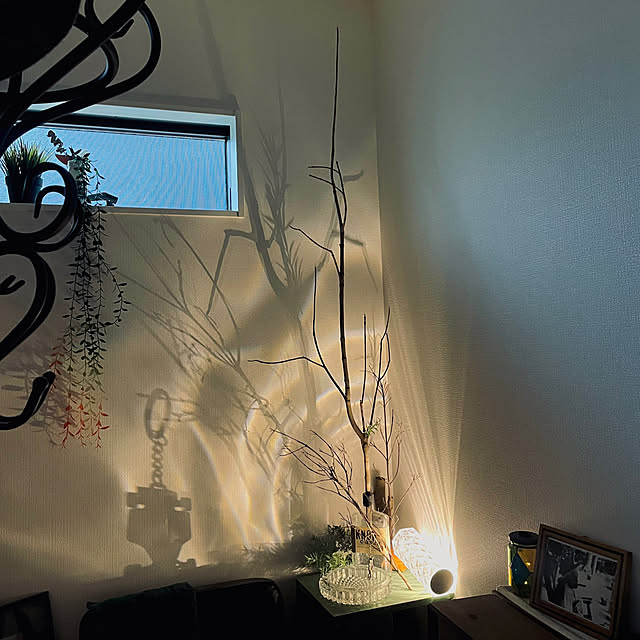cooさんの部屋