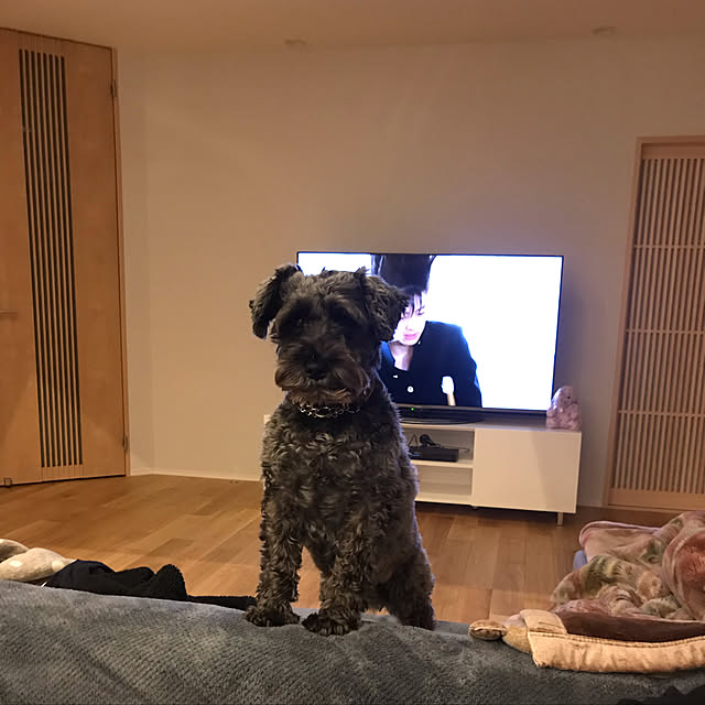 Haruさんの実例写真