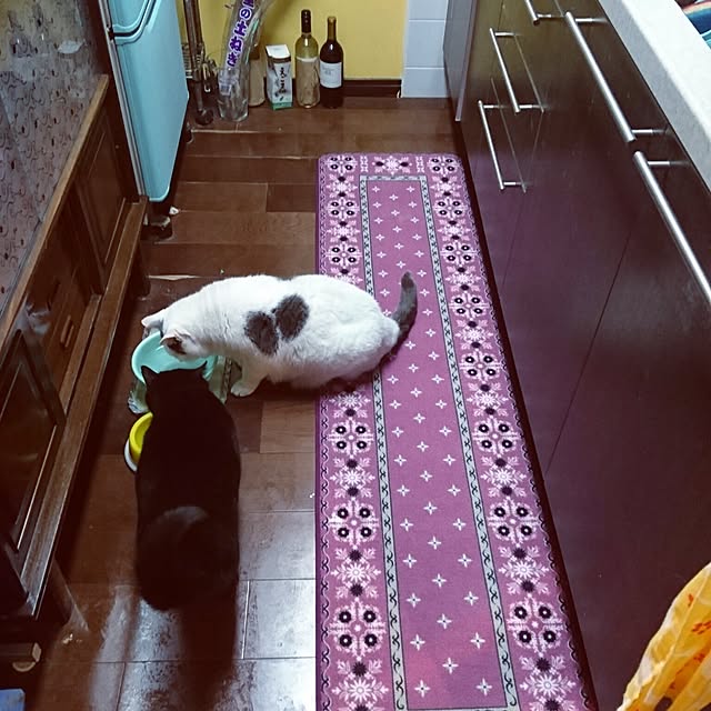 Kaoruさんの実例写真