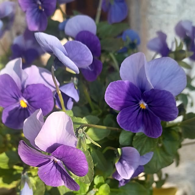 hiro.904さんの部屋