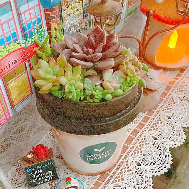 Hanakaさんの部屋