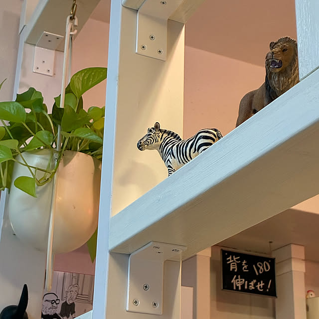 koshiregutyoさんの部屋