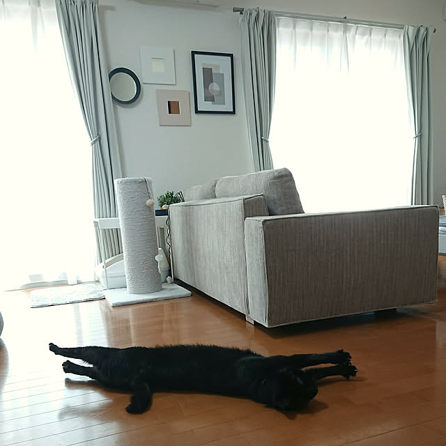 maikyさんの実例写真