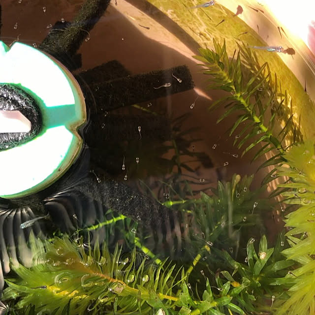 kyoko1124koさんの部屋