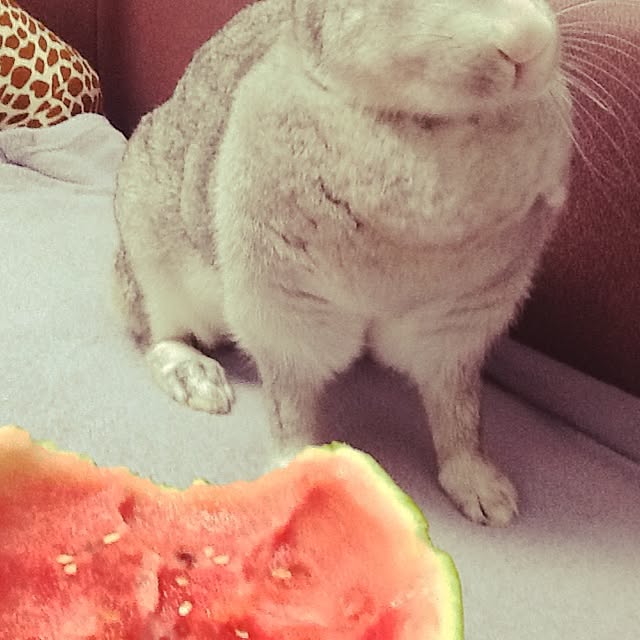 MARIさんの実例写真