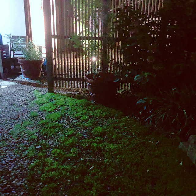 chacoさんの実例写真