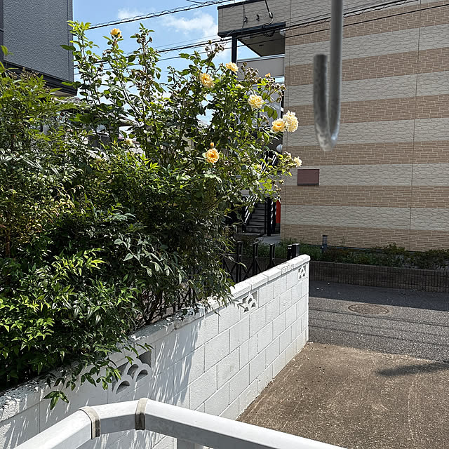 sayakaさんの実例写真