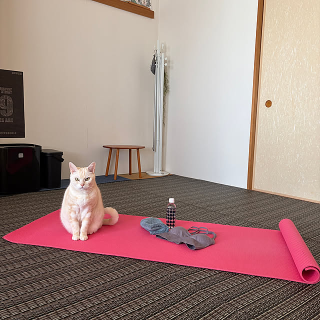 hiyupan88さんの実例写真