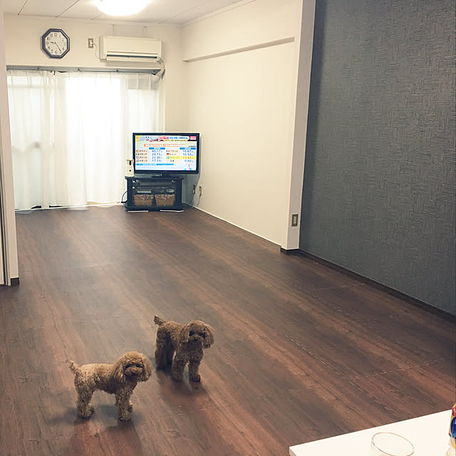kuuazu.mamaさんの実例写真