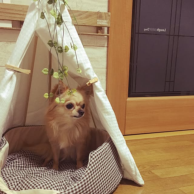 chi-koさんの実例写真