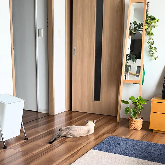 amさんの部屋