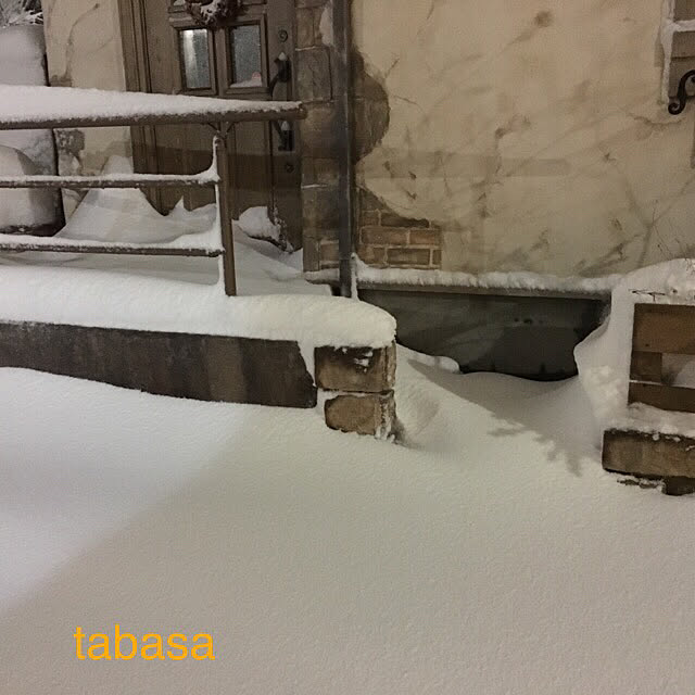 tabasaさんの実例写真