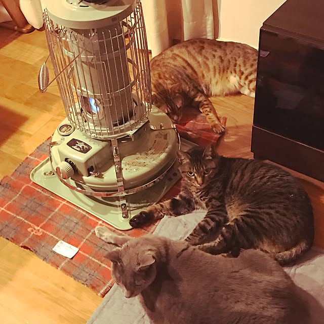 risaneko0126さんの実例写真