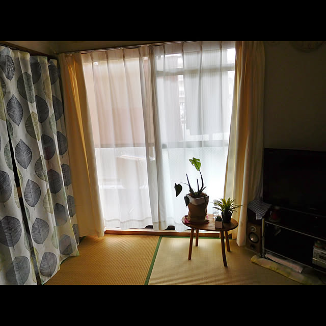 ws-reiさんの実例写真