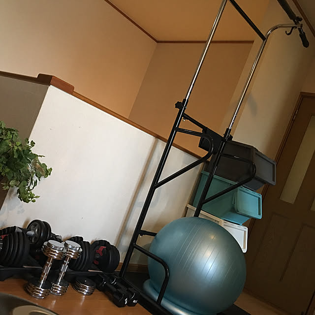 doragon_pansarさんの実例写真
