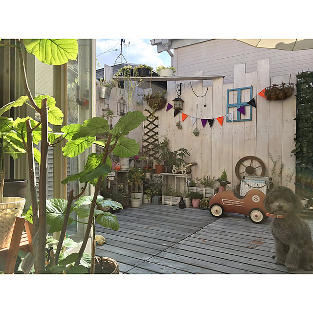 makoriさんの実例写真