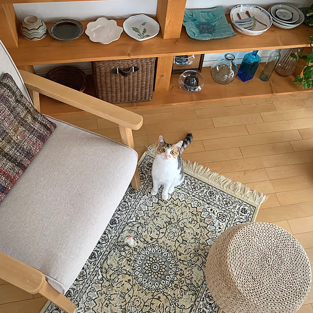 ochoriさんの実例写真