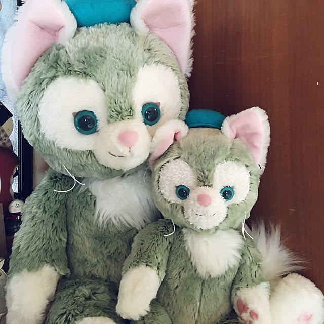 CATさんの実例写真