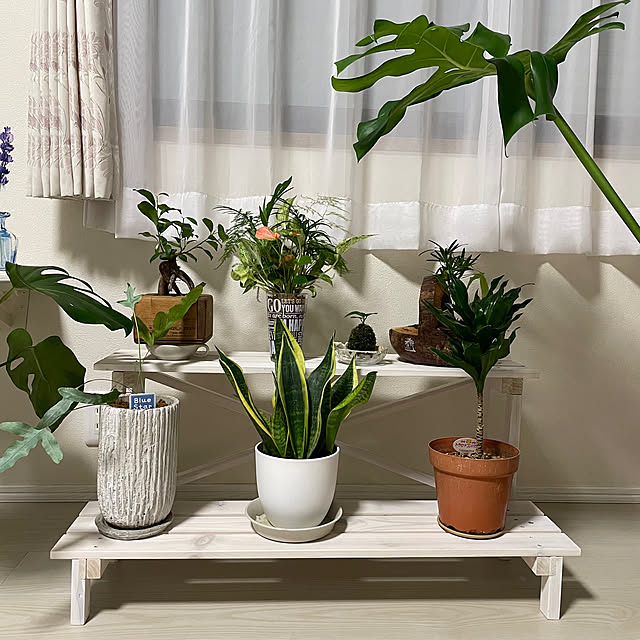 naotokahoさんの部屋