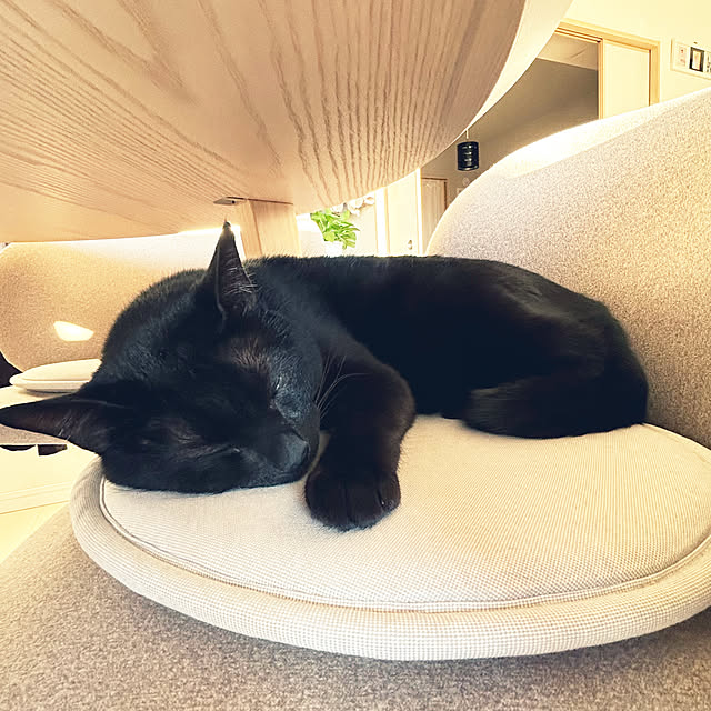 nekomiさんの部屋