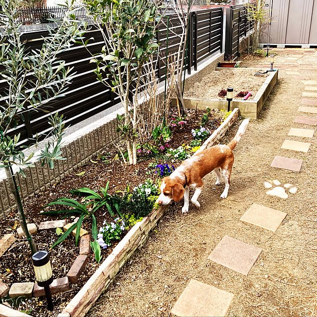 goro_wanさんの実例写真