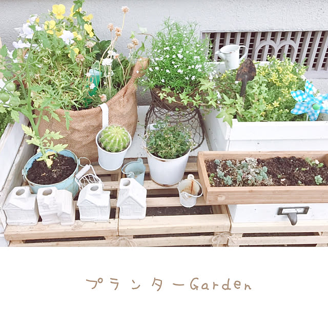 siroさんの実例写真