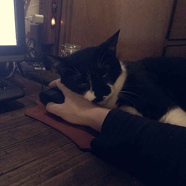 jnkaiさんの実例写真