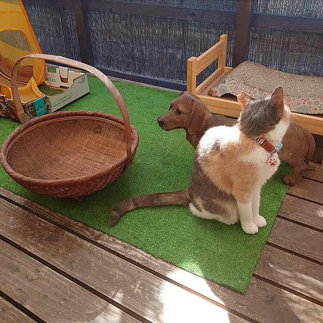 fukuさんの実例写真