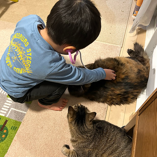 mikomaruさんの部屋